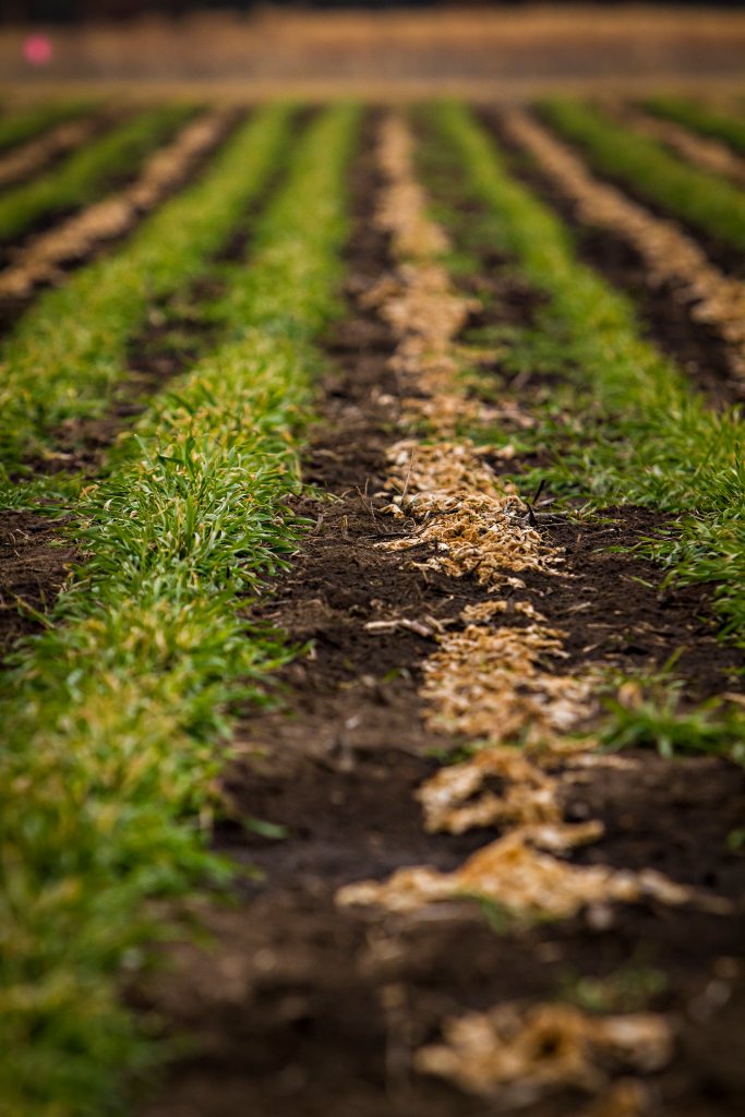 Clean agriculture is&nbsp;possible