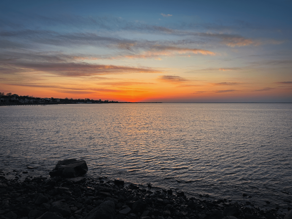 Active Value: trust ratings to support a better future for&nbsp;all