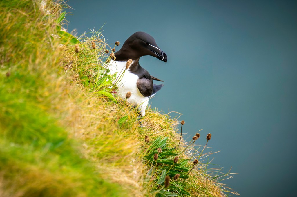 Eliminating climate data increases liability