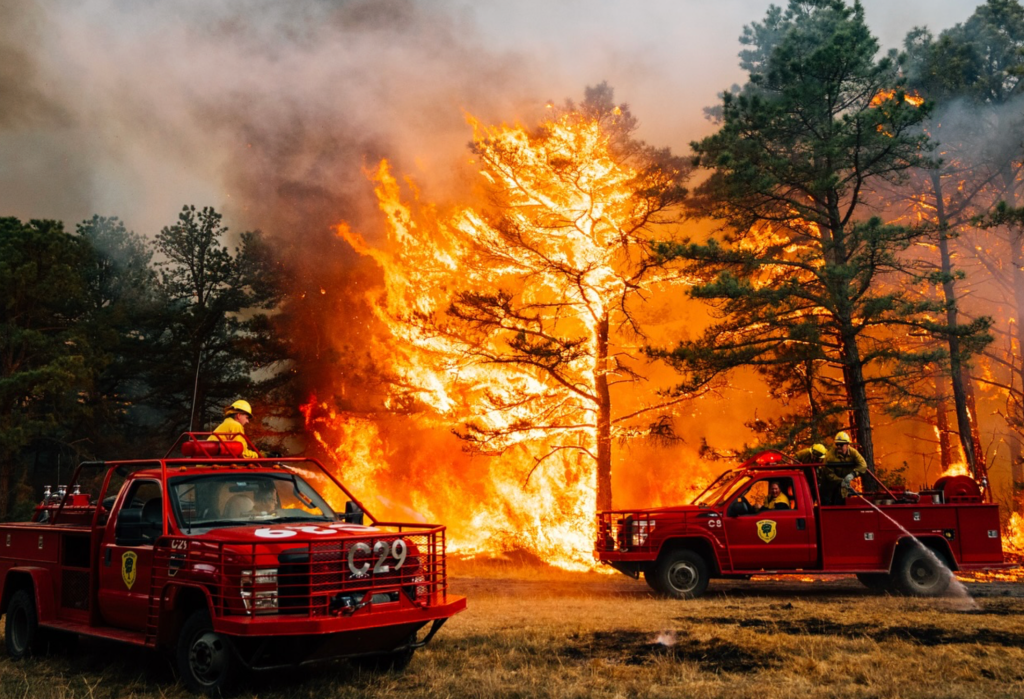 International Court of Justice finds climate action is a legal&nbsp;responsibility