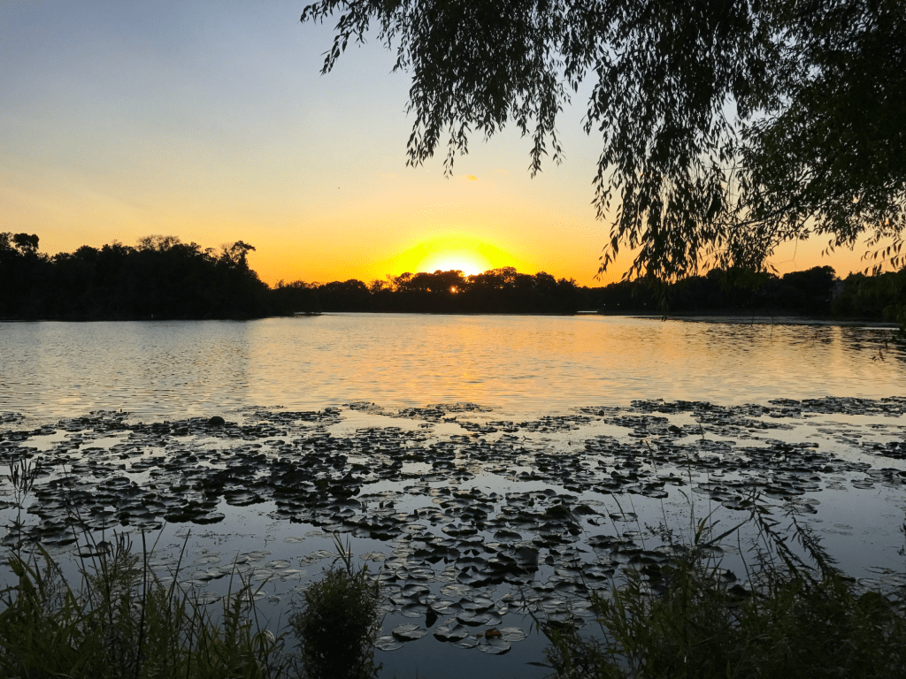 Distributed, ecological, multidimensional finance is the&nbsp;future