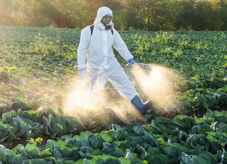 To ‘Make America Healthy Again’, require chemicals be proven&nbsp;safe