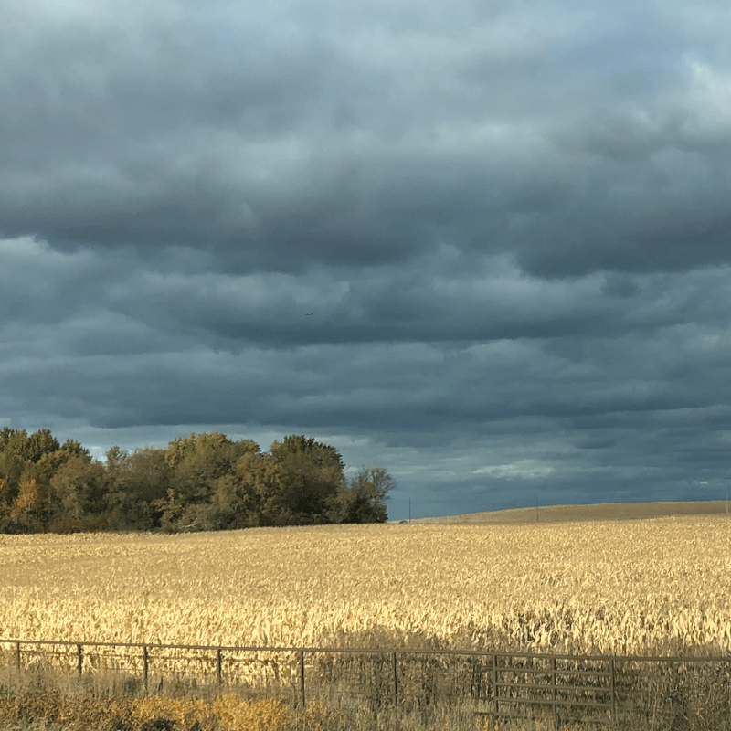 When a nation stops&nbsp;trying