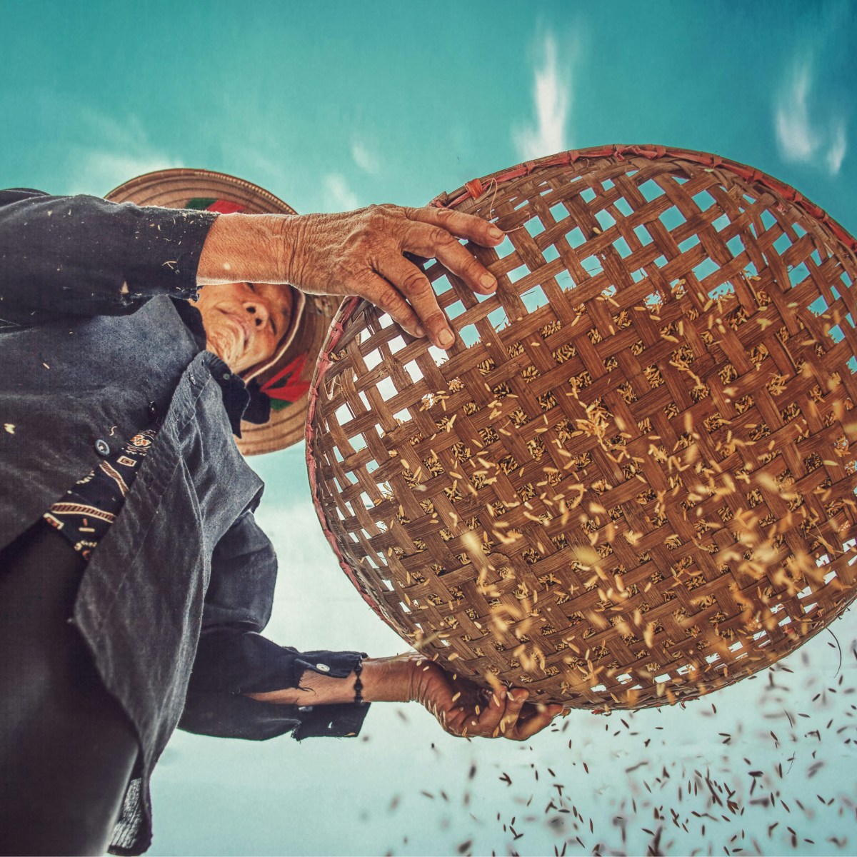 AgriConnect: World Bank platform to transform&nbsp;farming