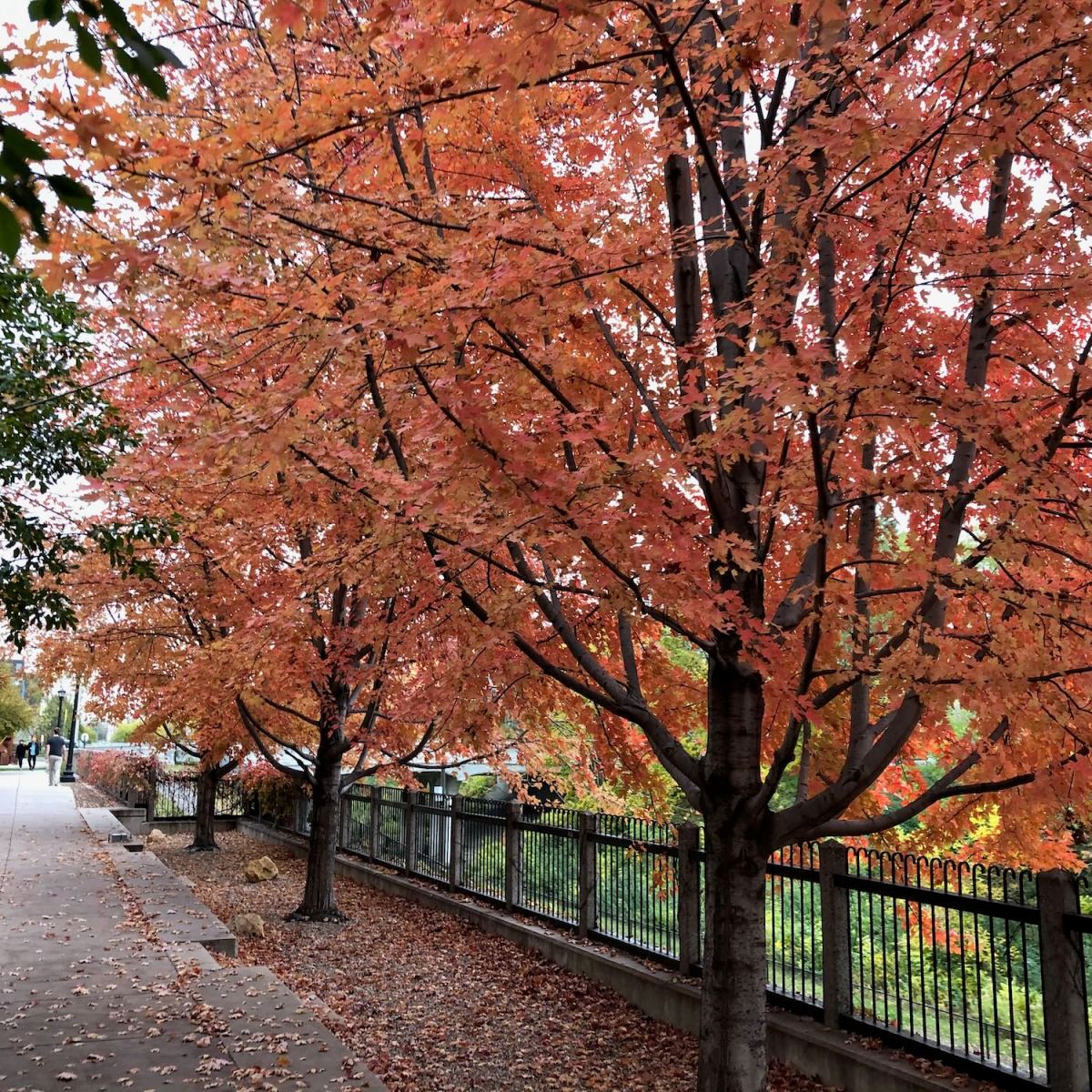 Leading locally just got much more important 