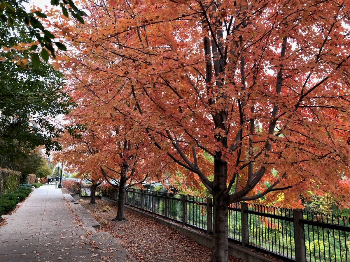 Leading locally just got much more important 