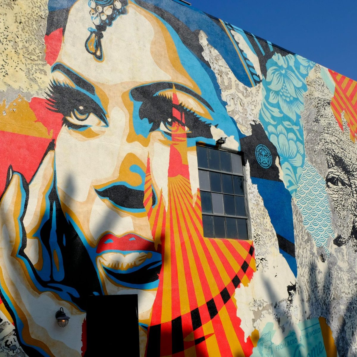 Who can you&nbsp;trust?