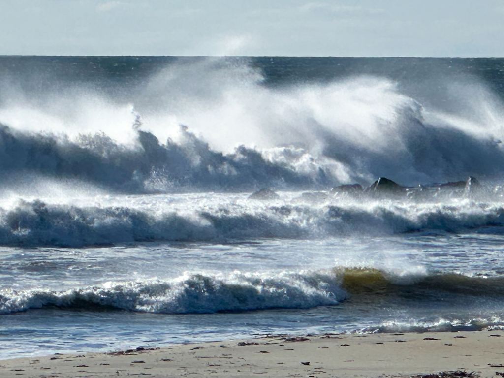 Information integrity is an economic & security&nbsp;imperative