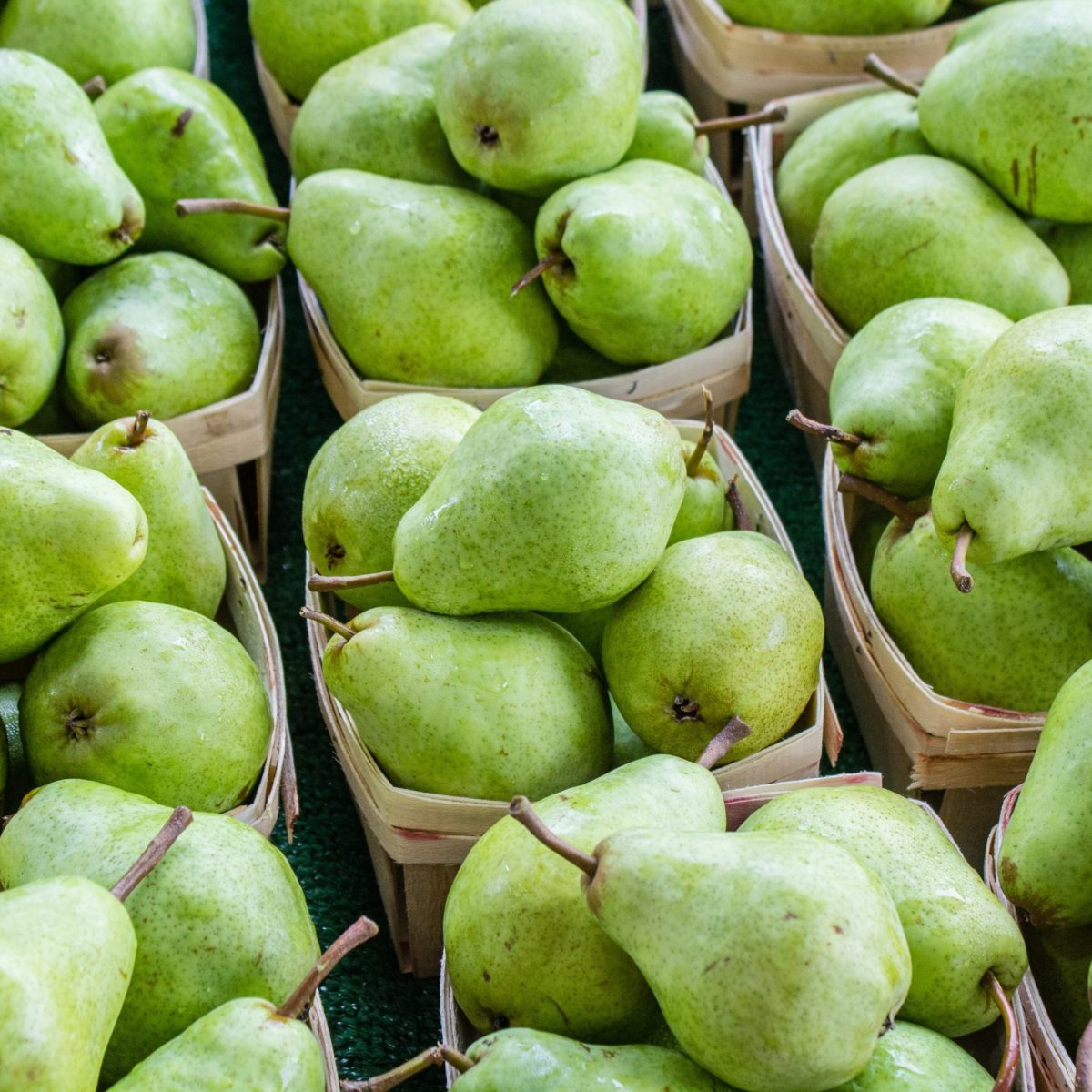 Food systems will shape our&nbsp;future